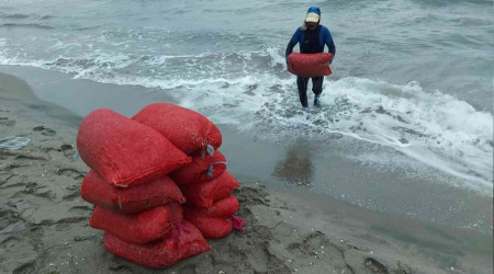 Bursa'da 2 ton kaak midye ele geirildi