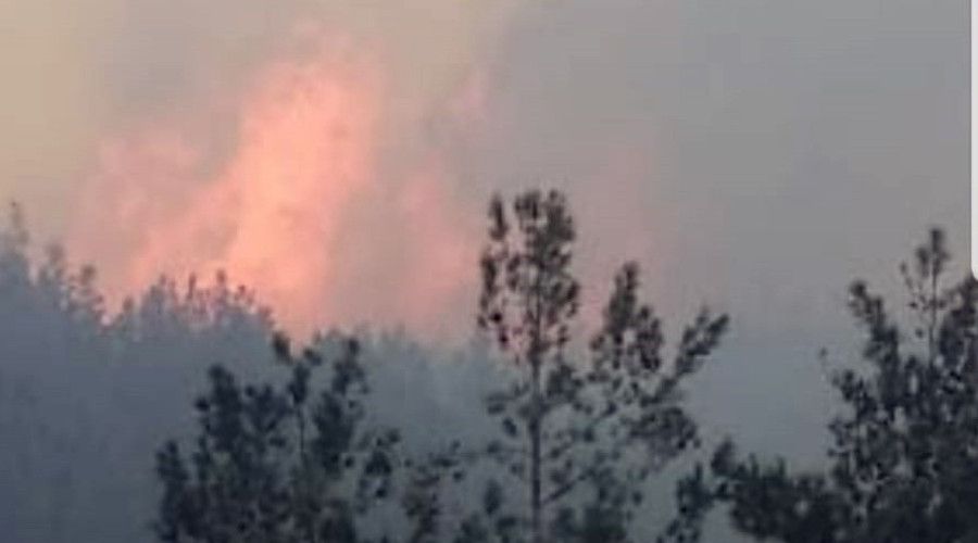 Çanakkale'de orman yangını