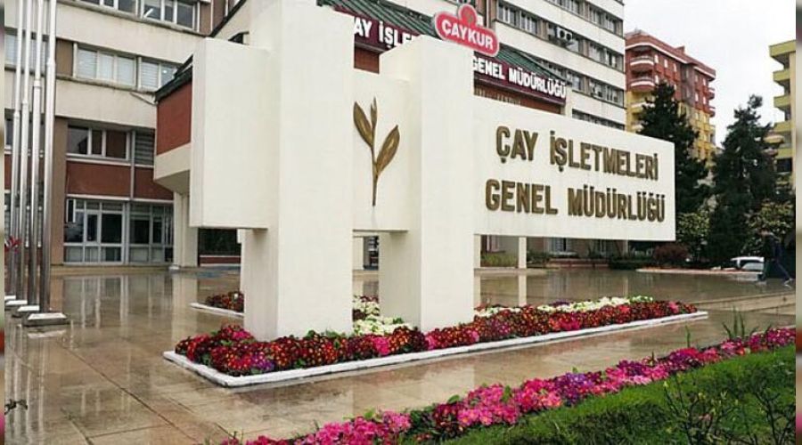 ÇAYKUR geçici işçi alacak
