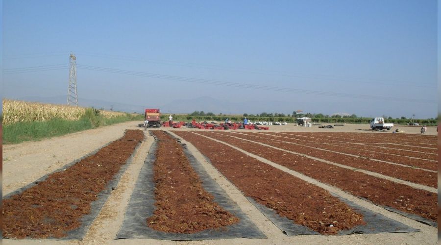 Çekirdeksiz kuru üzüm ihracatçısı önünü görmek istiyor