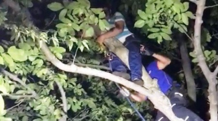 Ceviz dökmek için çıktığı ağaçta mahsur kaldı