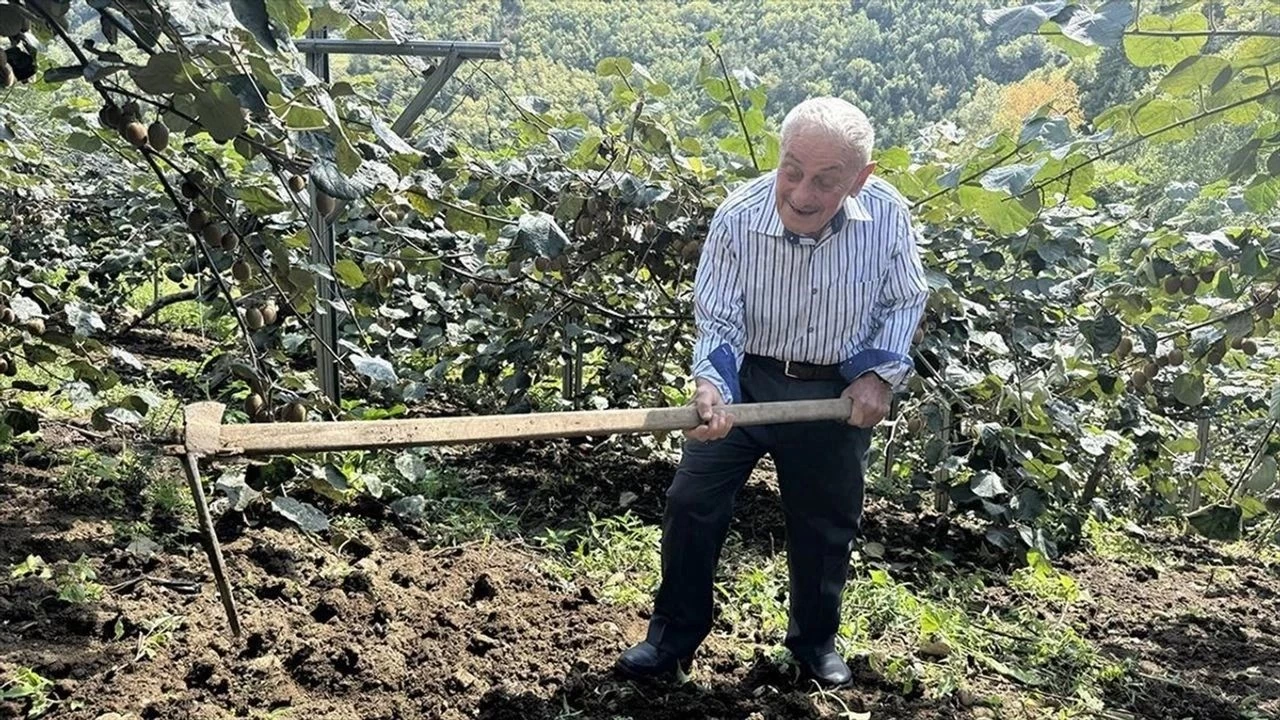 'Çiftçilikte yaş ortalaması artıyor'
