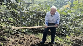 'Çiftçilikte yaş ortalaması artıyor'