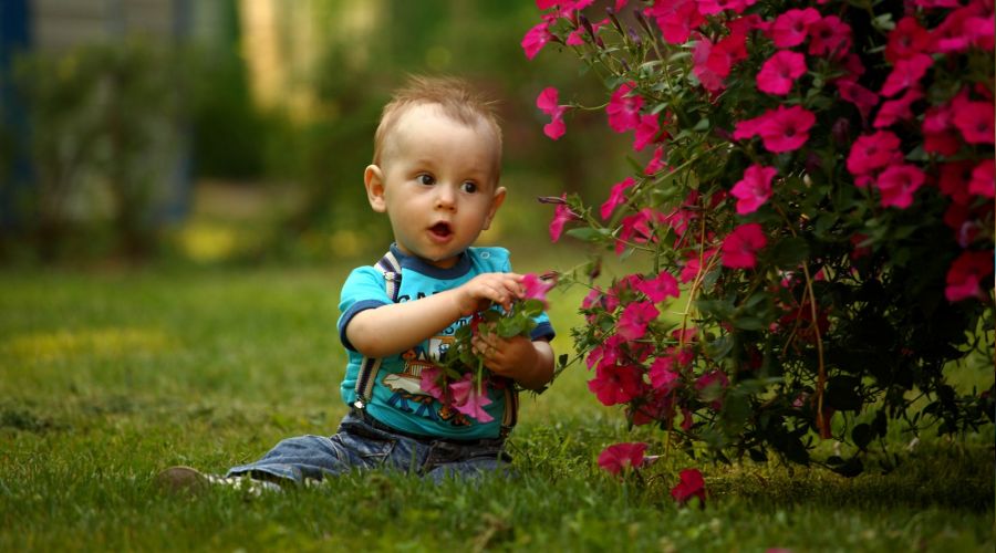Çocuk parkları zehir mi saçıyor?