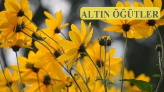 ‘Dedikodudan kaçının, o afet getirir’