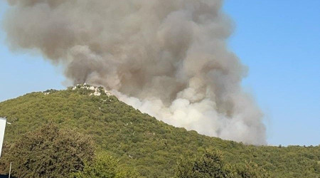 Demre'de de orman yangını çıktı