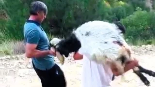 Denizli'de vahet: Kurunlanan 10 kei telef oldu