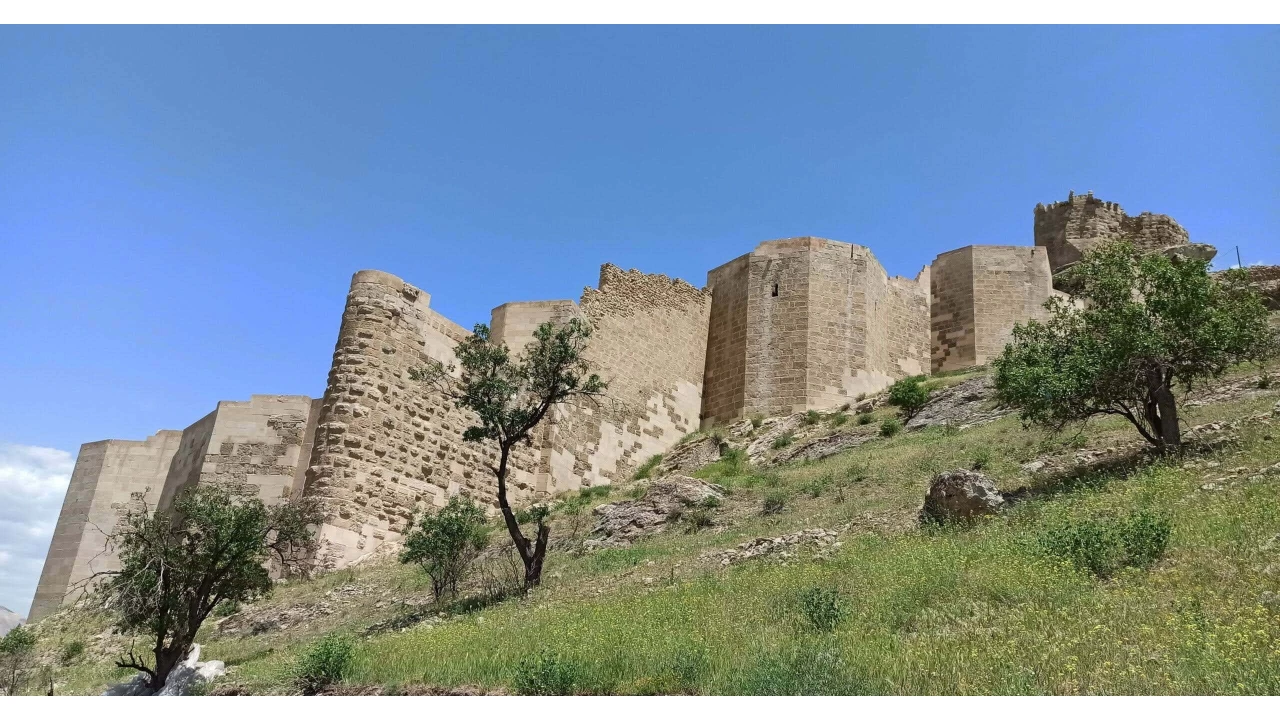 Divriği Kalesi: Tarihi savunma yapılarından biri