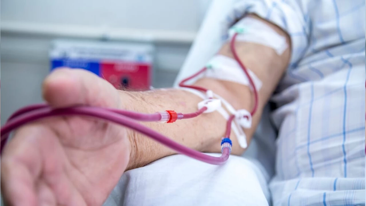 Diyaliz: Böbrek yetmezliğinde yaşam desteği