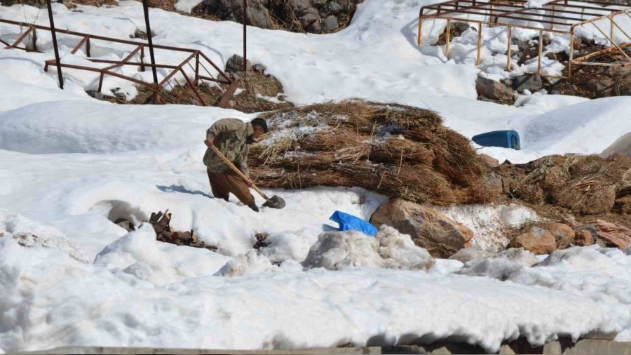 Do�uda k�� �ilesi devam ediyor