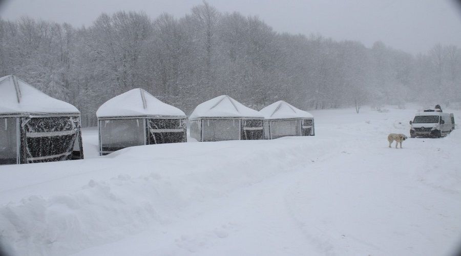 Domani'te kar kalnl 1 metreye yaklat