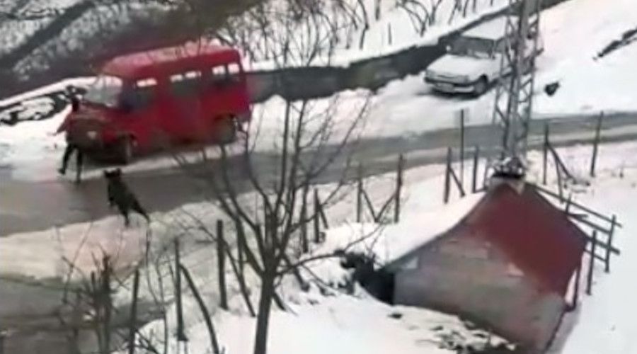 Domuzdan kaçan genç kendini otomobilin üzerine attı