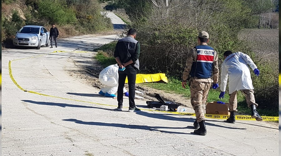 Döverek öldürüp yol kenarına attılar