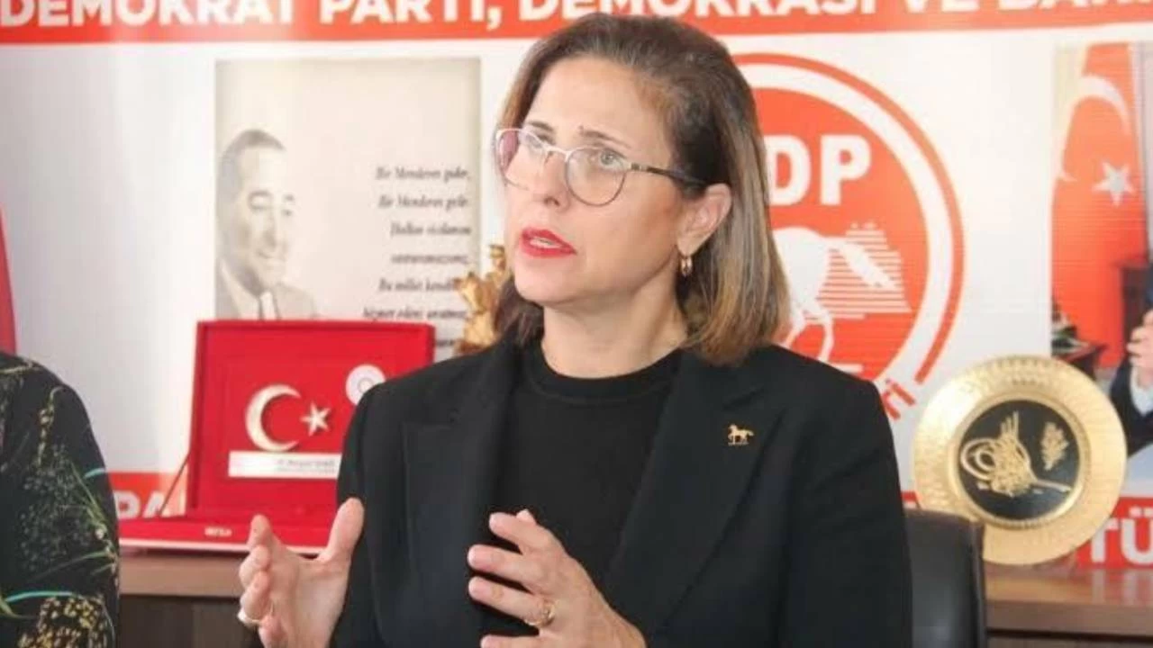 DP Genel Başkan Yardımcısı İlay Aksoy istifa etti