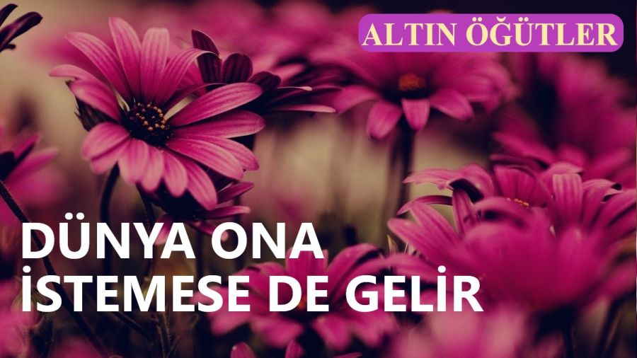 ‘Dünya ona istemese de gelir’