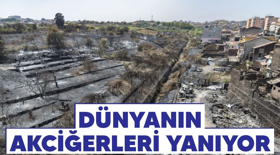 Dünyanın akciğerleri yanıyor