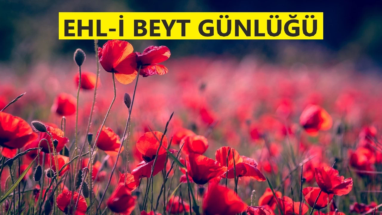 ‘Düşünce, basiretli kalbin hayatıdır’