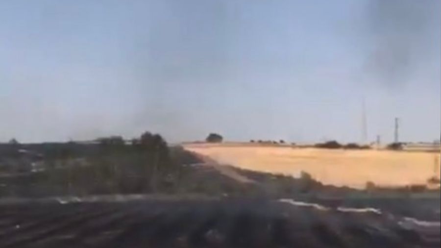 Edirne'de 2 bin dönüm ayçiçek tarlası yandı