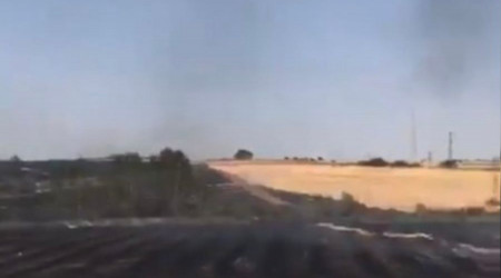 Edirne'de 2 bin dönüm ayçiçek tarlası yandı