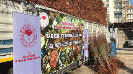 Elazığ'da çiftçiye 68 bin 500 adet badem fidanı dağıtıldı