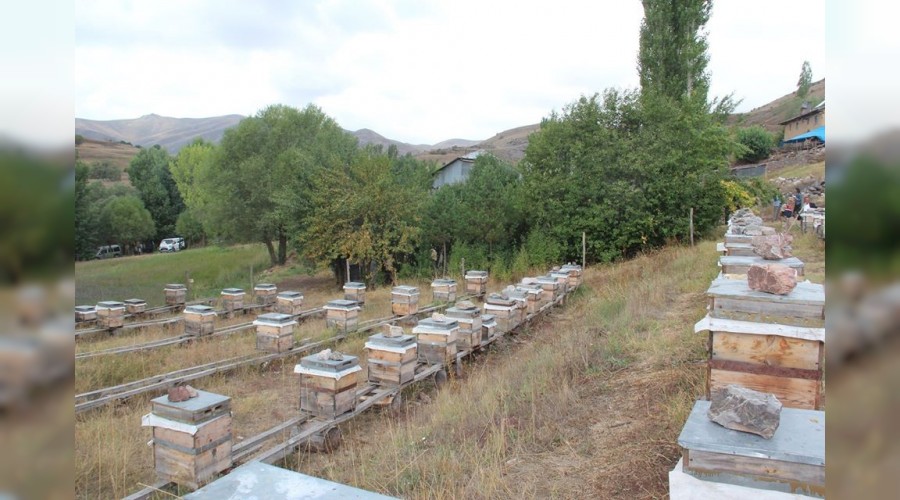 En �ok bal �reten �ehir