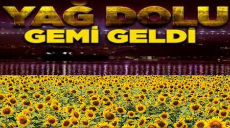 Erdoğan'dan seçim öncesi pamuk ve ay çiçek müjdesi