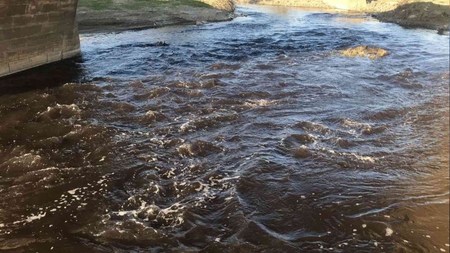 Ergene Nehri siyah akmaya devam ediyor
