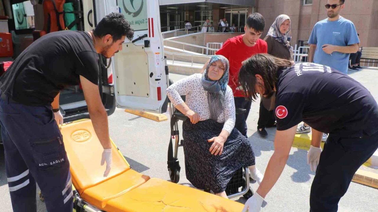 Erzincan'da k�peklerin sald�r�s�na u�rayan kad�n yaraland�
