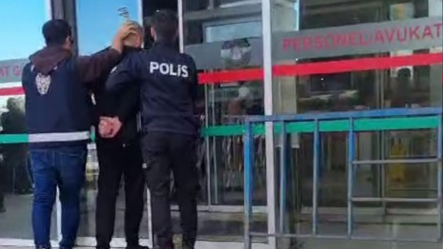 Fatih'te kedileri toplayan kişinin işyerinden çok sayıda ölü kedi çıktı