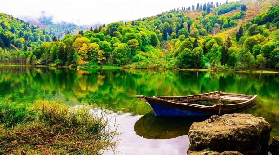 Fâtıma evladına zarar veremezler