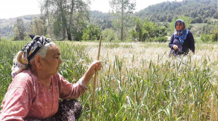 Fatma nineye yapılır mı bu?