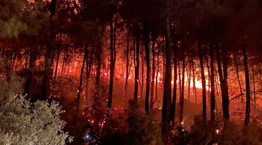 Fethiye'de orman yang�n�