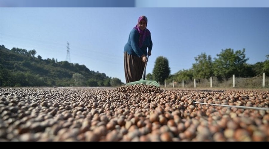 F�nd�k al�m fiyat� a��kland�