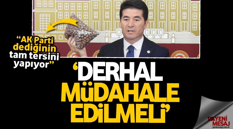 'Fındık fiyatına müdahale edilmeli'