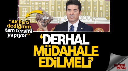 'Fındık fiyatına müdahale edilmeli'