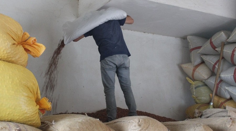 Fındık fiyatları haftaya yükselişle başladı