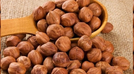 Fındık ihracatı geçen yıla göre arttı