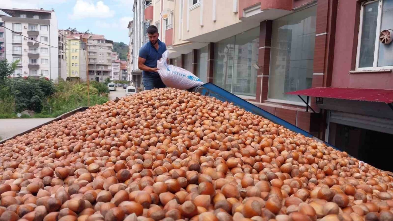 Fndk ihracatnda ta ykseliyor