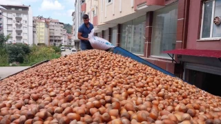 Fndk ihracatnda ta ykseliyor