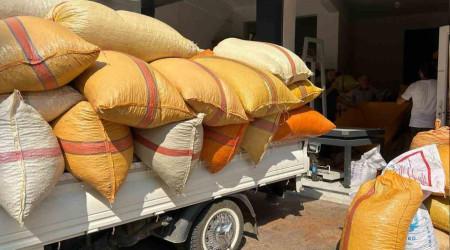 Fındık üreticileri fiyatların yükselmesini bekliyor
