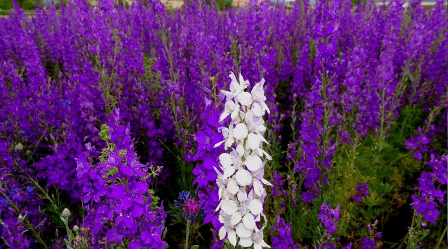  Foto�raf��lar�n ilgi oda�� oldu