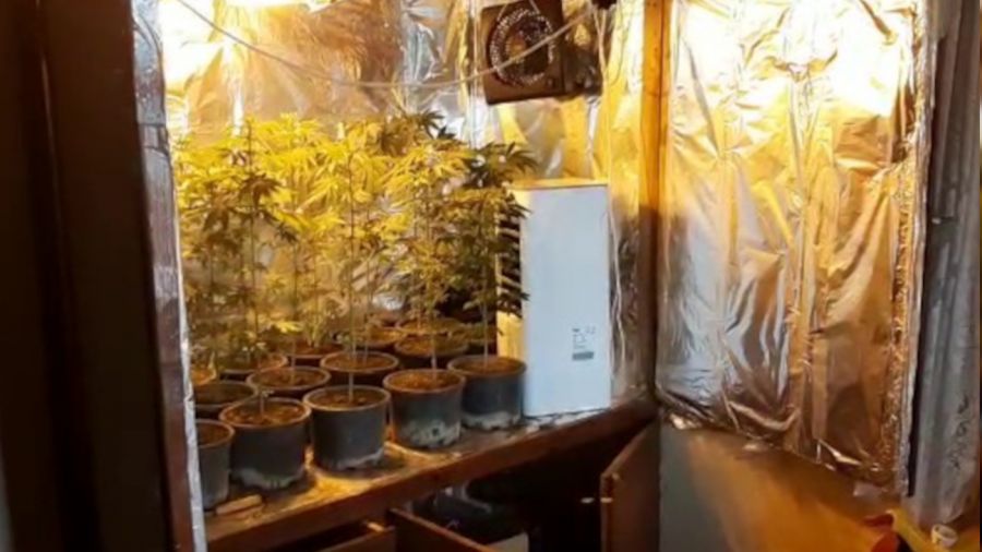 Gardırobunu kenevir bahçesine dönüştürmüş