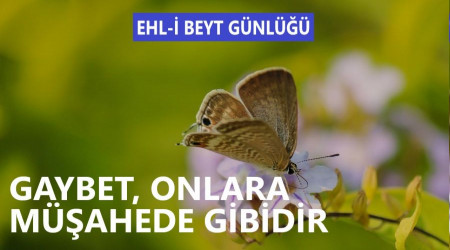 ‘Gaybet, onlara müşahede gibidir’