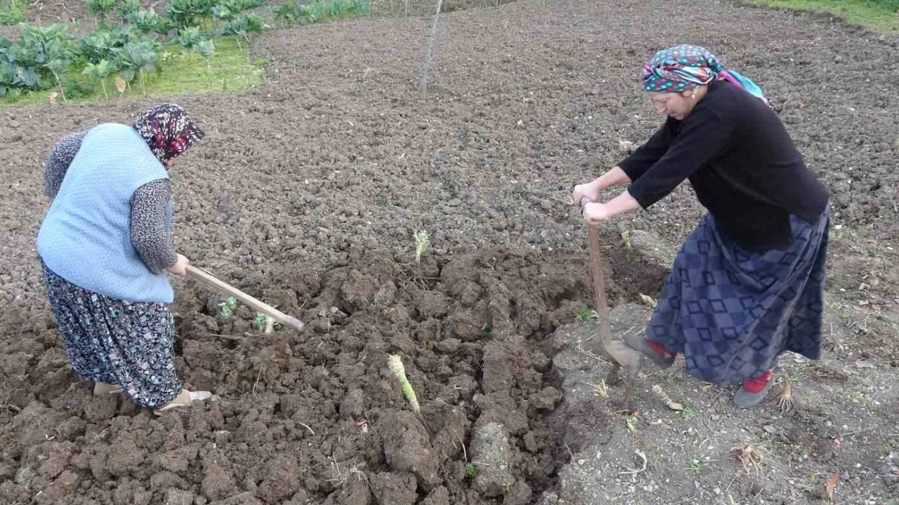 Gen�ler tarlaya girmiyor