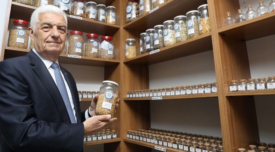 Gökova susamı gelecek nesimler için donduruldu