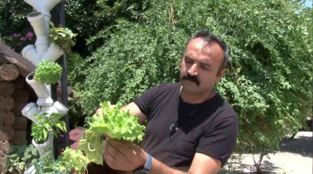 Güneş enerjisiyle topraksız dikey tarım