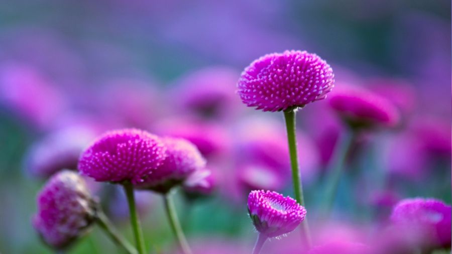 �Halka minnet kap�s�n� �rt�