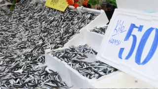 O kadar ufaklar ki, ayklanmyorlar bile!