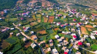 Hassa�da Tar�m: Bereketli topraklar ve biriken sorunlar