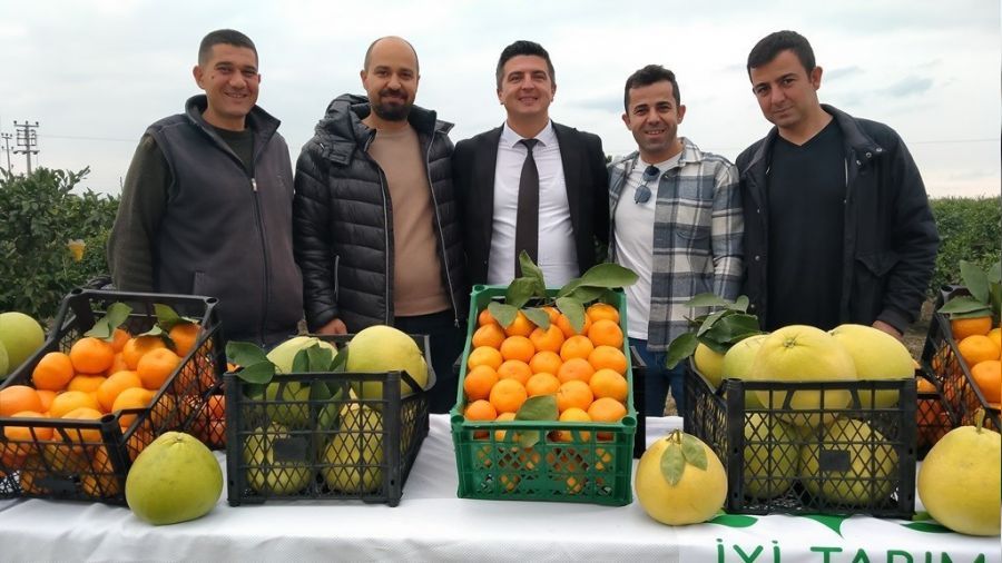 Hatay'da 905 ton ürün bekleniyor